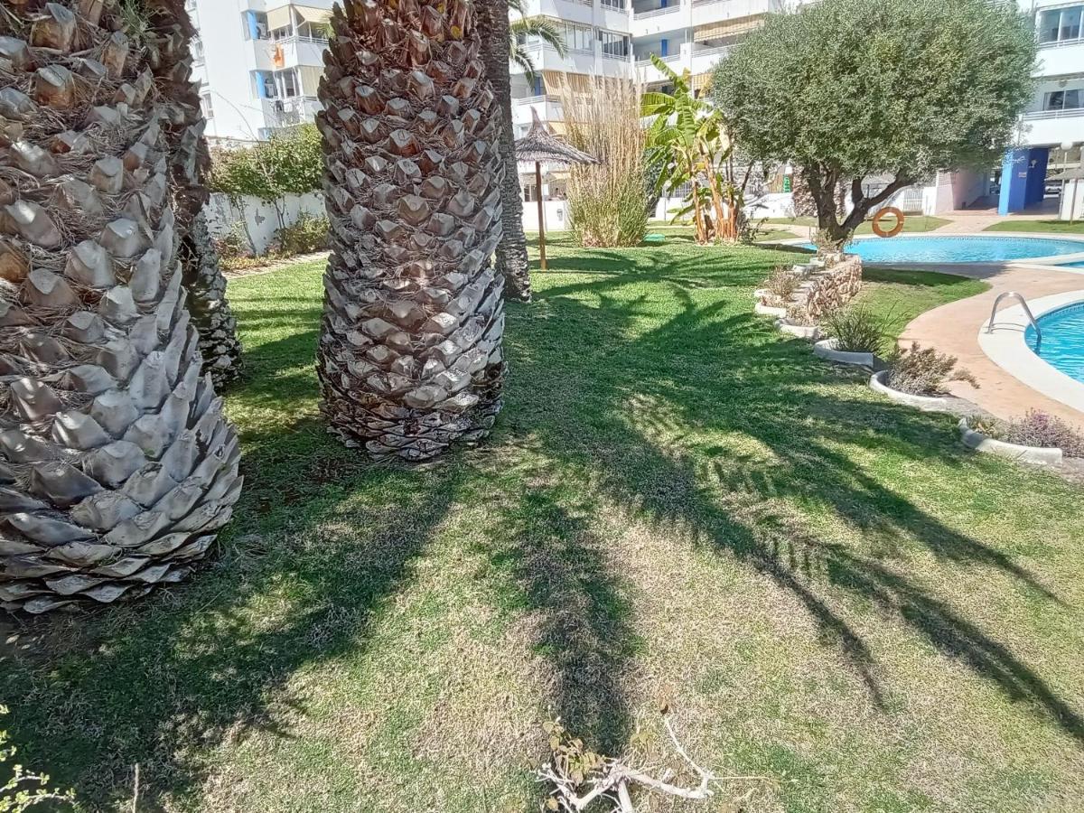 Apartamento La Nina, La Playa Paraiso A 100 Mts. Villajoyosa Eksteriør billede